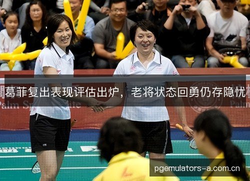 葛菲复出表现评估出炉，老将状态回勇仍存隐忧