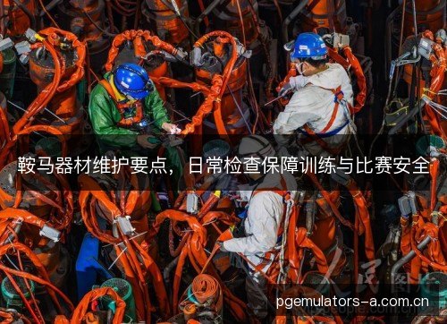 鞍马器材维护要点,日常检查保障训练与比赛安全 鞍马器材维护要点,日常检查保障训练与比赛安全